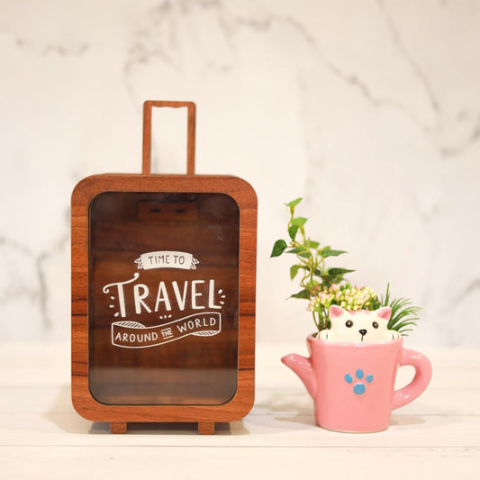 Travel Money Saving Bag